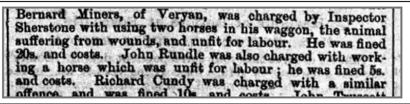 Newspaper report, Bernard Miners charged with using injured horses, Veryan